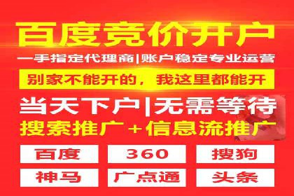 SEM托管服务，成功案例展示转化优势